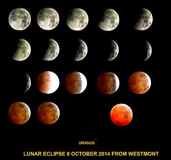 205_Lunar_eclipse_8_October_2014.jpg