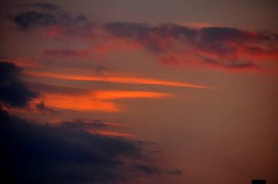 184_DSC_7404.jpg